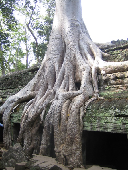 Angkor Thom - Cambodia